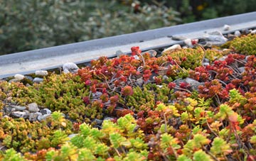 the cost of Read green roof installation