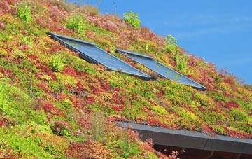 Read living roof systems