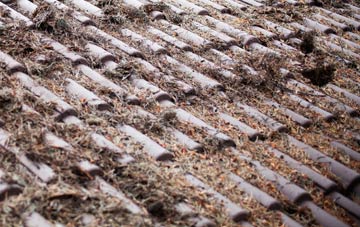 Read roof cleaning companies