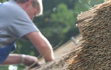 professional Read thatchers