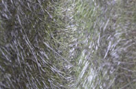 Read fibreglass roof work